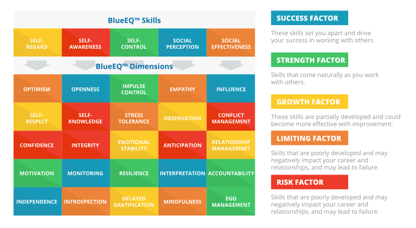 BlueEQ's measurable skills and dimensions of emotional intelligence